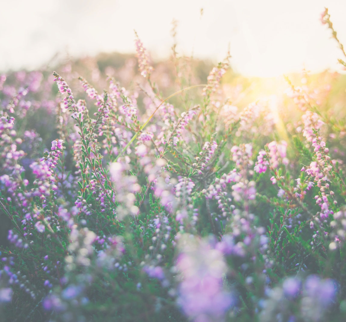 Achtsamkeitstraining