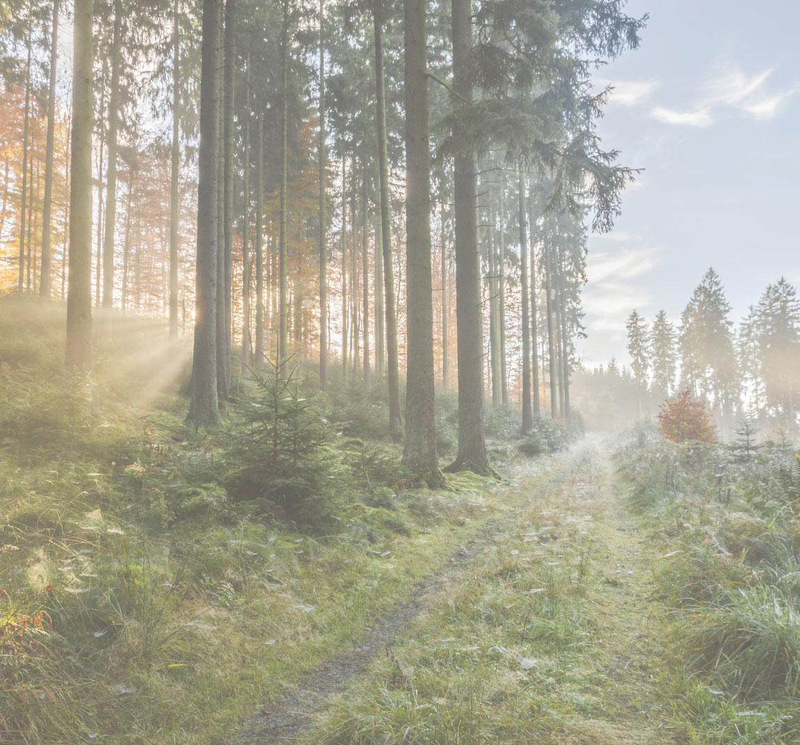 Resilienz- und Burnout-Beratung